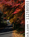 Tunnel of autumn leaves 112580503