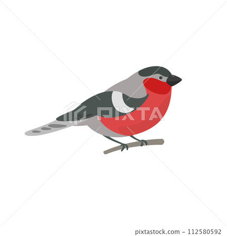 Bullfinch sitting on tree branch. Hand drawn bird 112580592