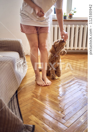 young woman trains her cockapoo 112580942