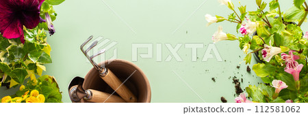 Flowers on a green background 112581062