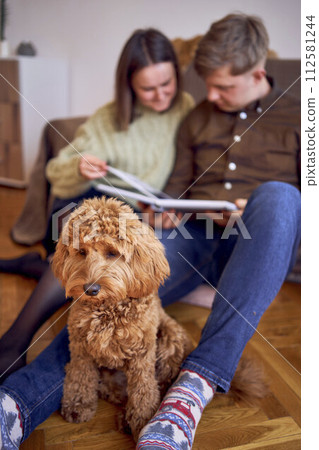 young couple looking at their wedding photo album by the bed in living room, cockapoo running around young couple looking at their wedding photo album by the bed in living room, cockapoo running around 112581244