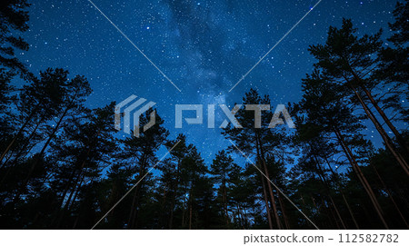 A starry sky and the Milky Way seen from the shade of a cedar forest: detailed CG 112582782