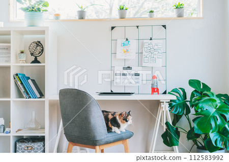 Cat pet sitting on the chair in modern cozy light workplace - bookcase, white desk with closed laptop, grid mood board with notes and green monstera plant at work space in home office room interior. Cat pet sitting on the chair in modern cozy light workplace - bookcase, white desk with closed laptop, grid mood board with notes and green monstera plant at work space in home office room interior. 112583992