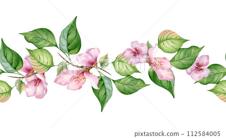 Watercolor seamless banner with pink flowers and leaves isolated on white. Floral board with blossom fruit branch hand drawn. Element for wedding invitation, card, packaging, label product 112584005