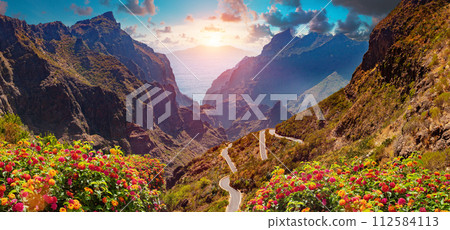 Masca valley.Canary island.Tenerife.Spain. Masca valley.Canary island.Tenerife.Spain. 112584113