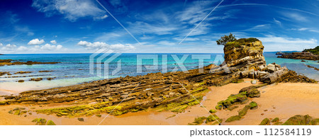 Camel beach in Santander,Spain. Camel beach in Santander,Spain. 112584119