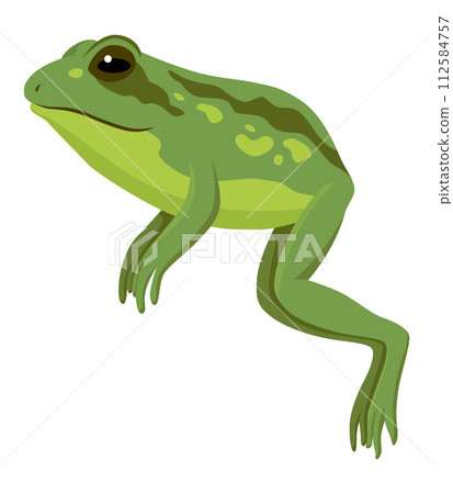 Frog jumping animation icon. Sequences or footage for motion design. Cartoon toad jumping, animal movement concept. Frog leap sequence, vector illustration 112584757