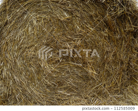 Pattern Of Dry Hay In A Stack Closeup Pattern Of Dry Hay In A Stack Closeup 112585009