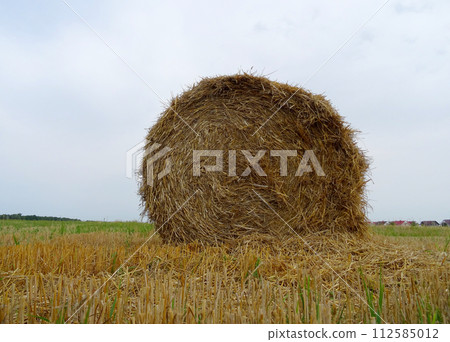 Round Stack Of Pressed Hay On A Field Round Stack Of Pressed Hay On A Field 112585012