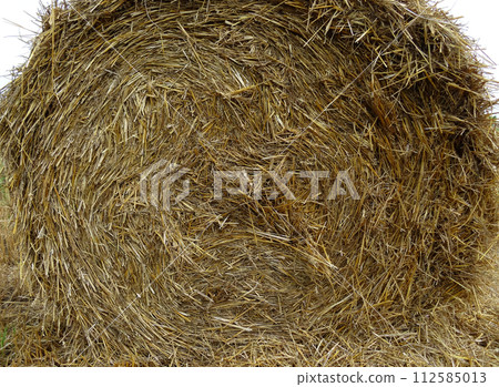 Pressed Hay Detailed Texture Background Pressed Hay Detailed Texture Background 112585013