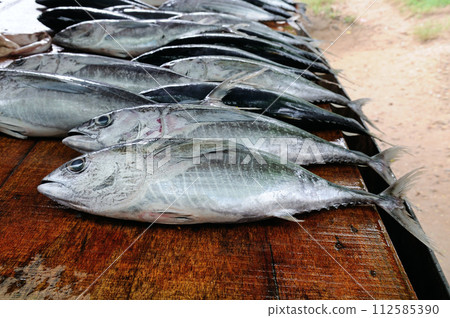 Large tuna at the street fish market. Sri Lanka. Large tuna at the street fish market. Sri Lanka. 112585390