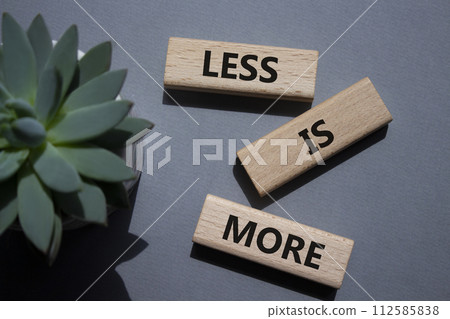 Less is More symbol. Concept words Less is More on wooden blocks. Beautiful grey background with succulent plant. Business and Less is More concept. Copy space. 112585838