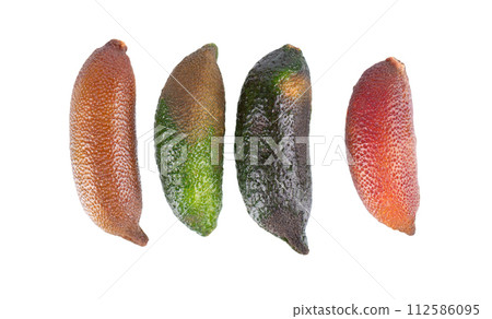 Fresh finger limes isolated on white background. Caviar lime. Fruits pods. Clipping path. Top view. 112586095