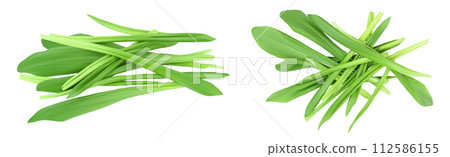 Ramson leaves isolated on white background with full depth of field, Top view. Flat lay 112586155
