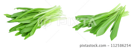 Ramson bunch vegetable isolated on white background with full depth of field 112586254