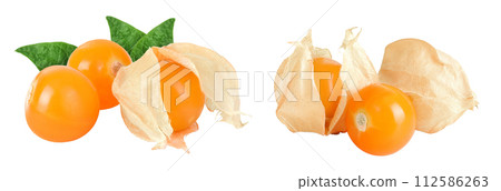 Cape gooseberry or physalis isolated on white background wit full depth of field Cape gooseberry or physalis isolated on white background wit full depth of field 112586263