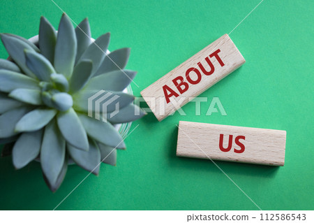 About us symbol. Concept word About us on wooden blocks. Beautiful green background with succulent plant. Business and About us concept. Copy space About us symbol. Concept word About us on wooden blocks. Beautiful green background with succulent plant. Business and About us concept. Copy space 112586543