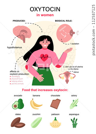 Oxytocin hormone infographics. Chemical strucuture affect on female body and emotions. List of products that contribute to production of oxytocin. Flat vector illustration 112587125