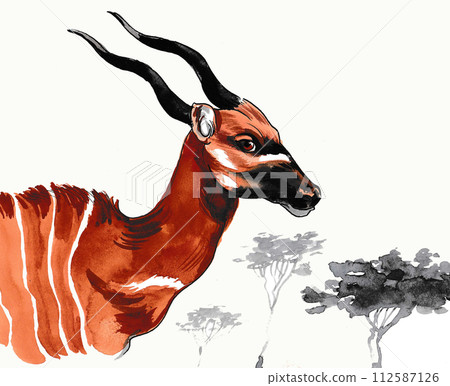 African antelope in savanah. Hand drawn illustration African antelope in savanah. Hand drawn illustration 112587126