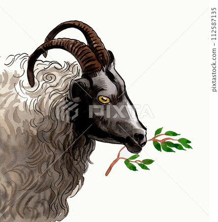 Sheep head. Cowboy with a mug of coffee. Hand drawn ink and watercolor illustration 112587135