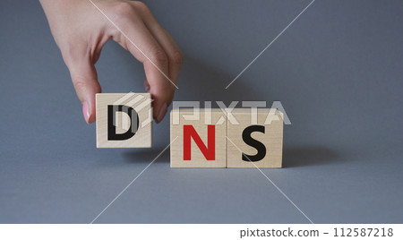 DNS -Domain Name Server - Consumer Price Index symbol. Concept word DNS on wooden cubes. Businessman hand. Beautiful grey background. Business and DNS concept. Copy space. 112587218