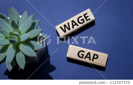 Wage Gap symbol. Concept words Wage Gap on wooden blocks. Beautiful deep blue background with succulent plant. Business and Wage Gap concept. Copy space. Wage Gap symbol. Concept words Wage Gap on wooden blocks. Beautiful deep blue background with succulent plant. Business and Wage Gap concept. Copy space. 112587370