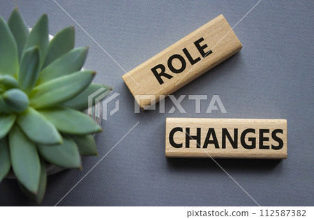 Role changes symbol. Concept words Role changes on wooden blocks. Beautiful grey background with succulent plant. Business and Role changes concept. Copy space. Role changes symbol. Concept words Role changes on wooden blocks. Beautiful grey background with succulent plant. Business and Role changes concept. Copy space. 112587382