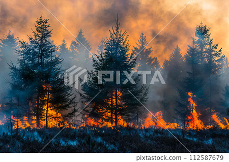 AI-generated content. A forest with numerous trees burning intensely, smoke covering the sky. 112587679