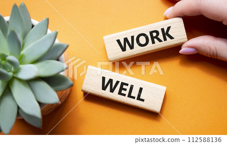 Work Well symbol. Concept word Work Well on wooden blocks. Businessman hand. Beautiful orange background with succulent plant. Business and Work Well concept. Copy space 112588136