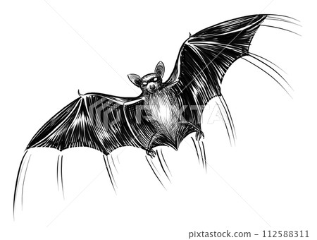 Flying bat. Hand drawn retro styled illustration Flying bat. Hand drawn retro styled illustration 112588311