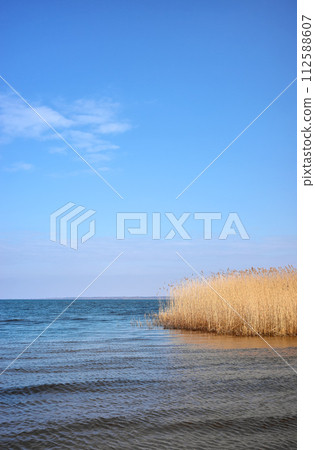 Peaceful landscape of the Szczecin Lagoon in the Oder estuary, shared by Germany and Poland. 112588607