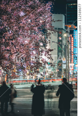 人們在城市裡拍攝櫻花 人們在城市裡拍攝櫻花 112589077