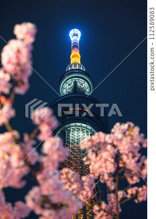 無線電塔和夜晚的櫻花 112589083