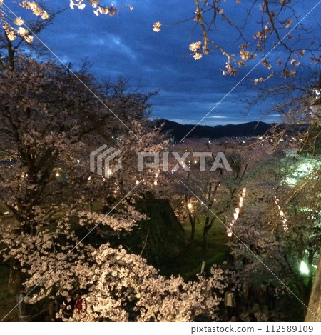 Autumn leaves lighted up 112589109