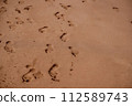 A network of fading footprints crisscrosses the expanse of a sandy beach, leaving a narrative of various passersby. Footprints Disappearing in the Sandy Beach Expanse. 112589743