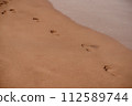 Curving footprints and scattered pebbles decorate the shoreline, capturing a meandering stroll along the beach. Meandering Footprints Along the Beach Shore. 112589744