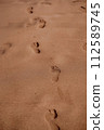 The image captures a trail of footprints in soft, smooth sand, inviting contemplation of a peaceful, solitary walk on the beach. Footprints in Soft Sand Leading Off Into Distance. 112589745