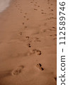 A series of human footprints mark a trail on the wet sand of a beach, hinting at a solitary walk by the water's edge. Trail of Footprints on Sandy Beach Shoreline. 112589746