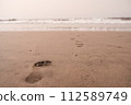 A sequence of a child's footprints in the sand creates a path leading towards the ocean waves in the distance. Child's Footprints Leading to Ocean Waves. 112589749