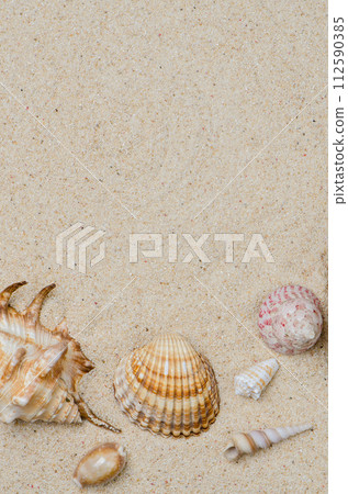 Conchs and shells Conchs and shells 112590385