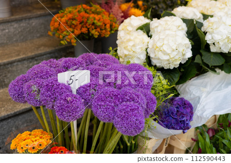 Beautiful colorful flowers Allium Giganteum in flower shop. Various flowers in the street market. Giant Onion 112590443