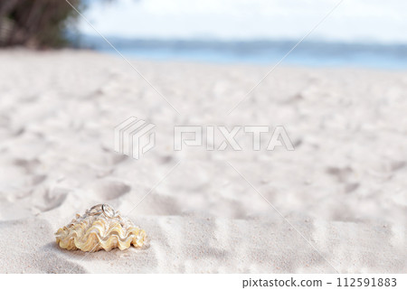 Romantic tropical scene on beach. Closeup 112591883