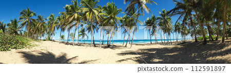 Wild tropical beach with coconut palm trees and turquoise caribbean sea. travel destination. Aerial view. Long banner 112591897
