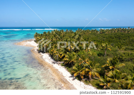 Bounty and prestine tropical beach with coconut palm trees and azure caribbean sea. Beautiful landscape. Aerial view 112591900