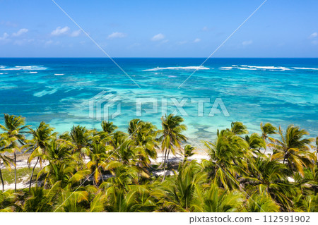 Bounty and prestine tropical beach with coconut palm trees and azure caribbean sea. Beautiful landscape. Aerial view Bounty and prestine tropical beach with coconut palm trees and azure caribbean sea. Beautiful landscape. Aerial view 112591902