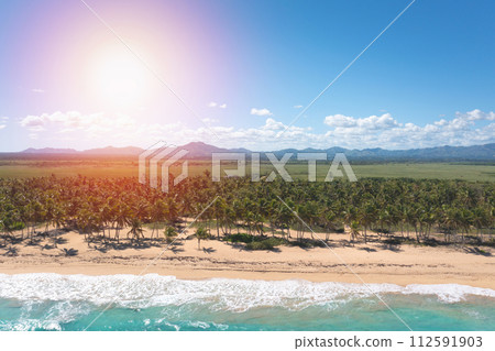 Wild tropical beach with palm trees and turquoise caribbean sea. Beautiful beachfront. Aerial view 112591903