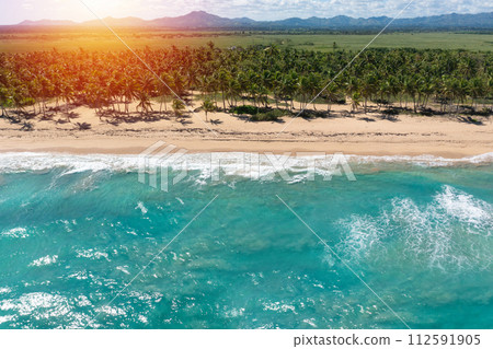 Wild tropical beach with palm trees and turquoise caribbean sea. Beautiful beachfront. Aerial view Wild tropical beach with palm trees and turquoise caribbean sea. Beautiful beachfront. Aerial view 112591905