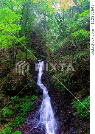 Tokyo Waterfall, Shiraiwa Falls in Hinode Town 112592642