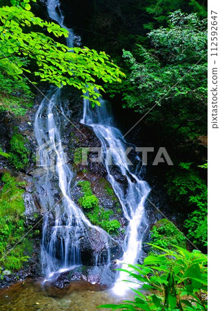 Tokyo Waterfall, Shiraiwa Falls in Hinode Town Tokyo Waterfall, Shiraiwa Falls in Hinode Town 112592647