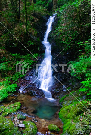 Tokyo Waterfall, Shiraiwa Falls in Hinode Town 112592677